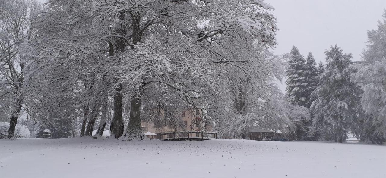 Domaine De Marchal - Chambres Et Table D'Hotes Celles-Sur-Durolle 외부 사진